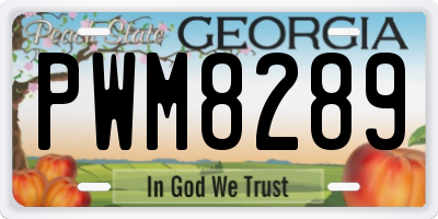 GA license plate PWM8289