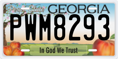 GA license plate PWM8293
