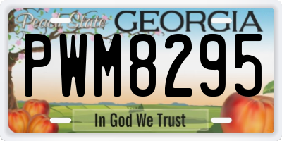 GA license plate PWM8295