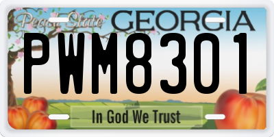 GA license plate PWM8301