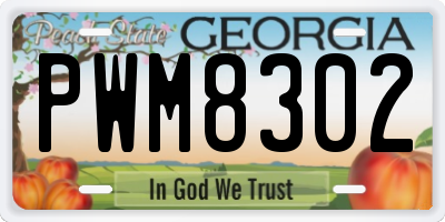 GA license plate PWM8302