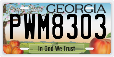 GA license plate PWM8303