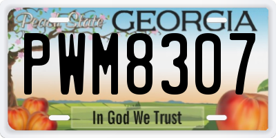 GA license plate PWM8307