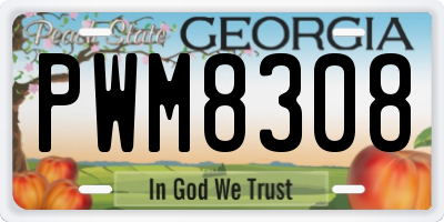 GA license plate PWM8308