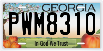 GA license plate PWM8310