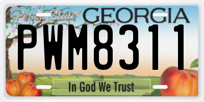 GA license plate PWM8311