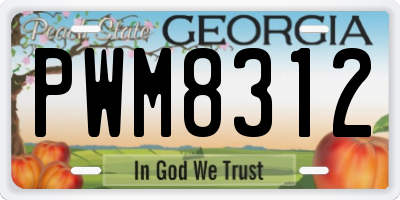 GA license plate PWM8312