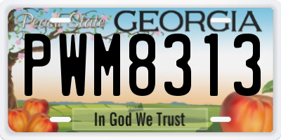 GA license plate PWM8313