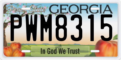 GA license plate PWM8315