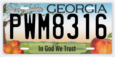 GA license plate PWM8316