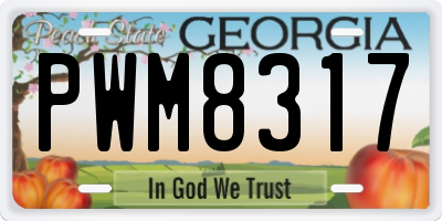 GA license plate PWM8317