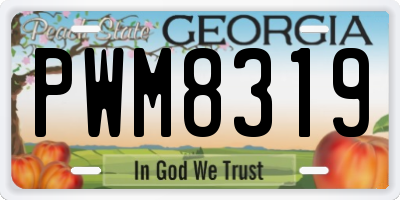 GA license plate PWM8319