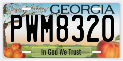 GA license plate PWM8320