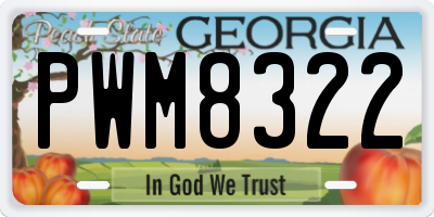 GA license plate PWM8322