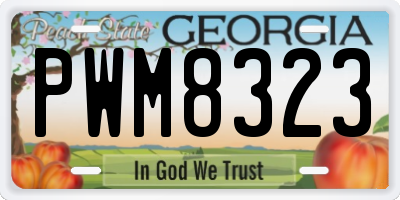 GA license plate PWM8323