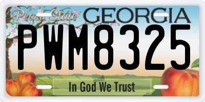 GA license plate PWM8325