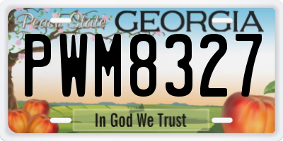 GA license plate PWM8327