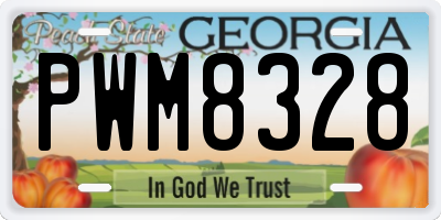 GA license plate PWM8328