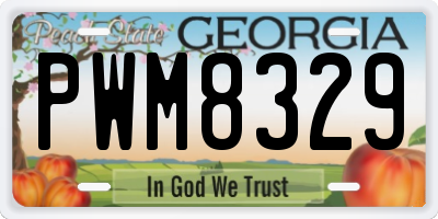 GA license plate PWM8329