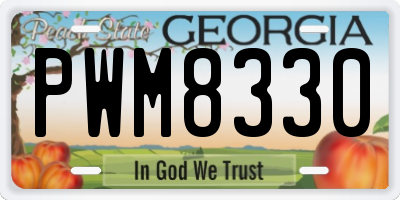 GA license plate PWM8330