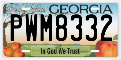 GA license plate PWM8332