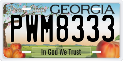 GA license plate PWM8333