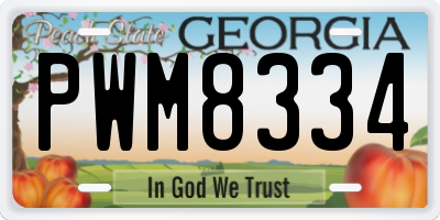GA license plate PWM8334
