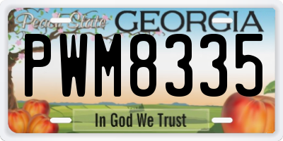 GA license plate PWM8335
