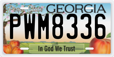 GA license plate PWM8336