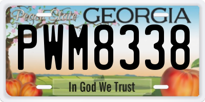 GA license plate PWM8338