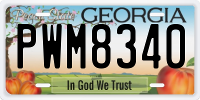 GA license plate PWM8340
