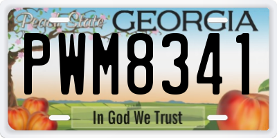 GA license plate PWM8341