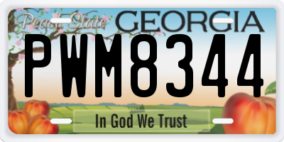 GA license plate PWM8344