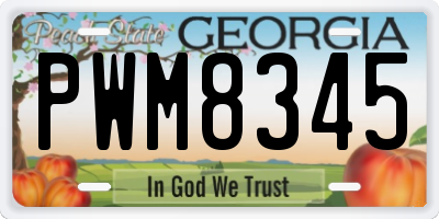 GA license plate PWM8345
