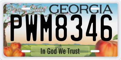 GA license plate PWM8346