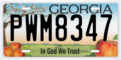 GA license plate PWM8347