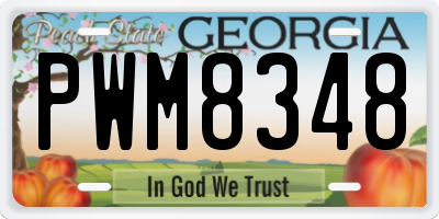GA license plate PWM8348