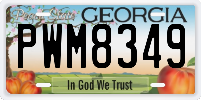GA license plate PWM8349