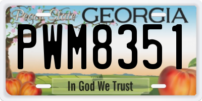 GA license plate PWM8351