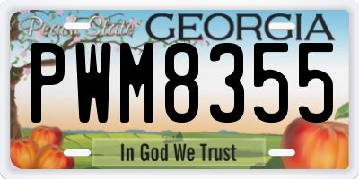 GA license plate PWM8355