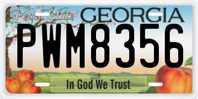 GA license plate PWM8356