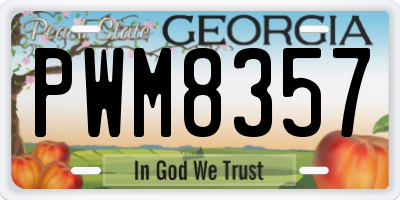GA license plate PWM8357