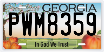 GA license plate PWM8359