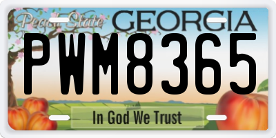 GA license plate PWM8365