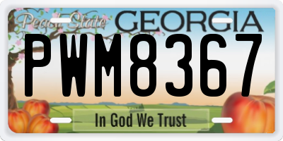GA license plate PWM8367