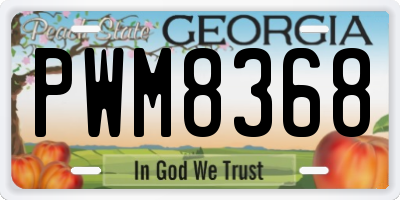 GA license plate PWM8368