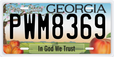GA license plate PWM8369
