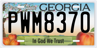 GA license plate PWM8370