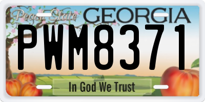 GA license plate PWM8371