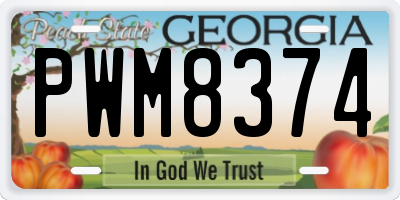 GA license plate PWM8374